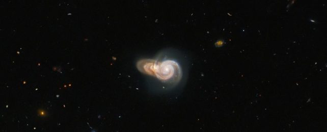 Хаббл запечатлел две галактики, перекрывающиеся друг с другом, чтобы сформировать потрясающую межзвездную «улитку»