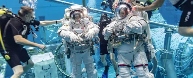 Вот как НАСА определяет, какие кандидаты станут астронавтами