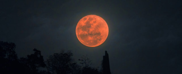 Редкое затмение «Кровавая луна» во вторник станет последним до 2025 года! Вот как смотреть