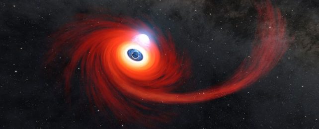 Астрономы только что получили необычно пристальное внимание на черную дыру, пожирающую проходящую звезду