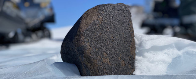 Космический камень-монстр в Антарктиде — один из крупнейших за 100 лет