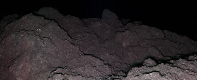 Ученые обнаружили компонент РНК, погребенный в пыли астероида