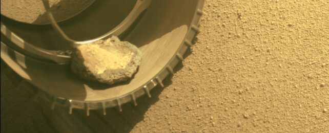 Марсоход NASA Perseverance потерял своего марсианского «питомца» спустя более года