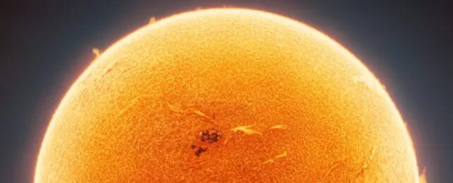 Этот невероятный крупный план Солнца скрывает скрытую деталь. Можете ли вы заметить это?
