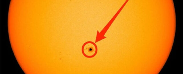 Гигантское пятно пересекает Солнце, и вам даже не нужен телескоп, чтобы его увидеть