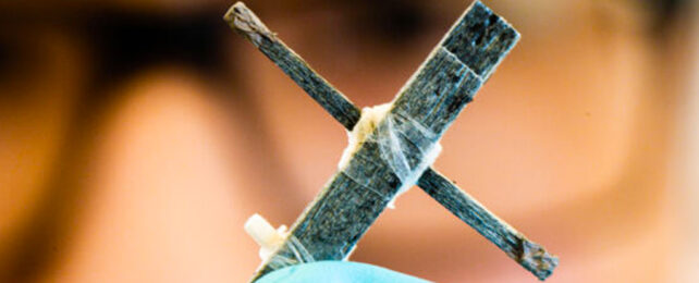 Ученые только что представили первый в мире деревянный электрический транзистор