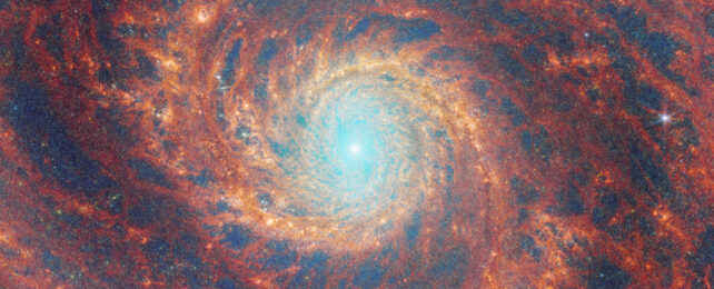 JWST запечатлел галактику Водоворот, и это, возможно, самое завораживающее ее изображение