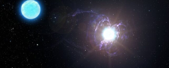 Самая магнитная звезда из когда-либо виденных может быть предшественником загадочного объекта