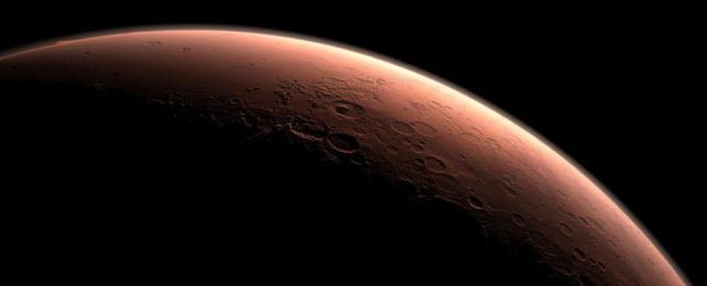Астробиолог говорит, что мы, возможно, уже нашли жизнь на Марсе, а затем случайно убили ее