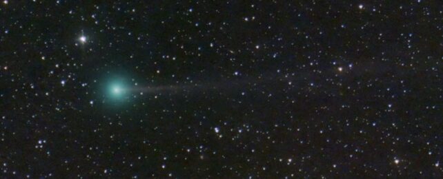 Редкую комету, которую мы только что обнаружили, можно будет увидеть на этих выходных