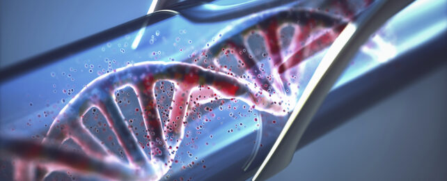 Жидкий компьютер, сделанный из ДНК, состоит из миллиардов схем
