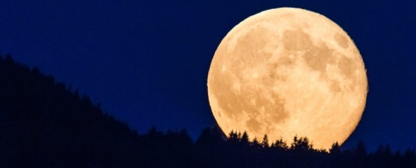 Искать! Сегодня вечером взойдет последнее Суперлуние 2023 года – полная урожайная луна