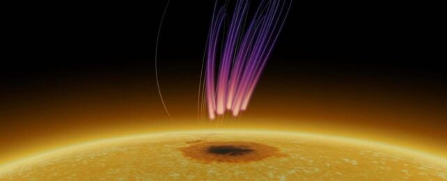 Впервые ученые обнаружили на Солнце излучение, подобное сиянию