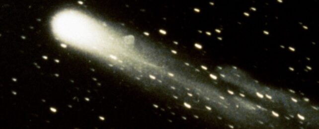 Знаменитая комета Галлея достигнет афелия на этих выходных