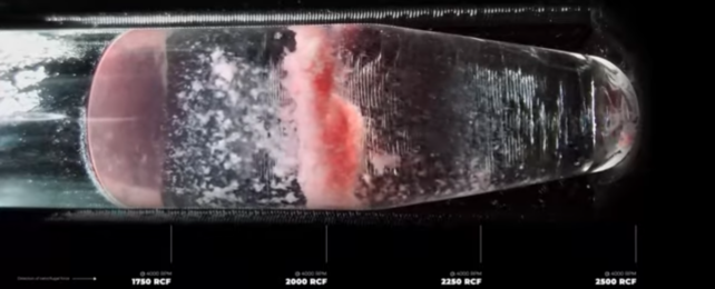 Невероятные видеоролики впервые переносят нас внутрь центрифуги