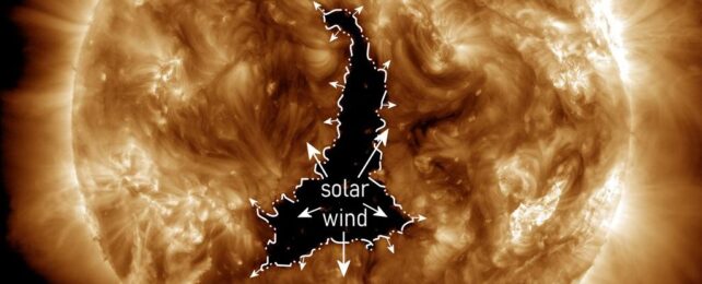 Зияющая дыра в Солнце размером больше, чем 60 Земель, только что обрушила солнечный ветер прямо на нас