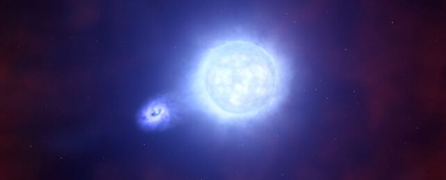 Впервые ученые обнаружили «недостающее звено» между звездами и черными дырами