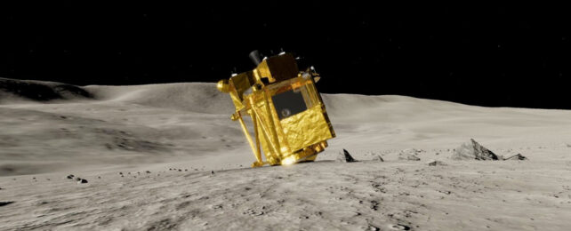 Срочно: японский «шаткий» посадочный модуль неожиданно пережил лунную ночь