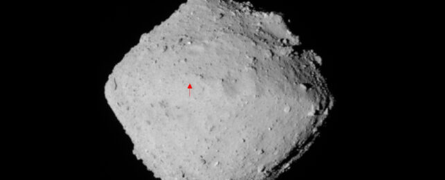 Семена жизни? Образцы, взятые с астероида Рюгу, содержат следы кометных частиц