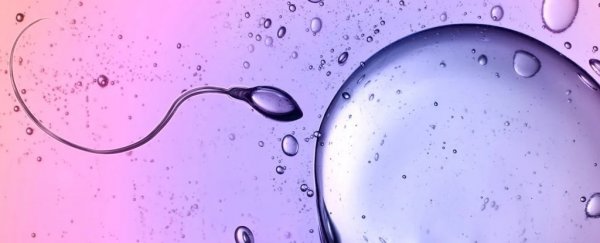 Ученые обнаружили сперму, нарушающую главный закон физики