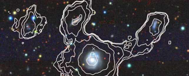 Быстрое сканирование MeerKAT выявило 49 новых галактик за 3 часа
