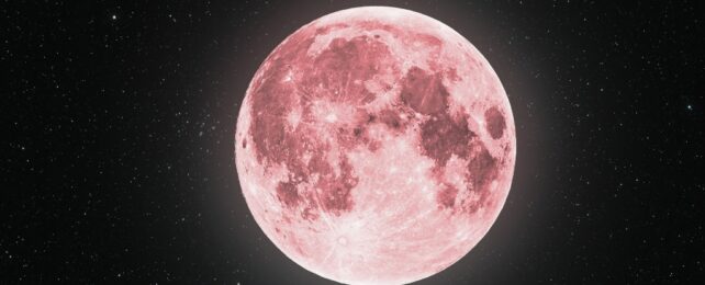 Сегодня вечером метеорный поток Лириды встретится с «Розовой Луной»: вот где, когда и как наблюдать