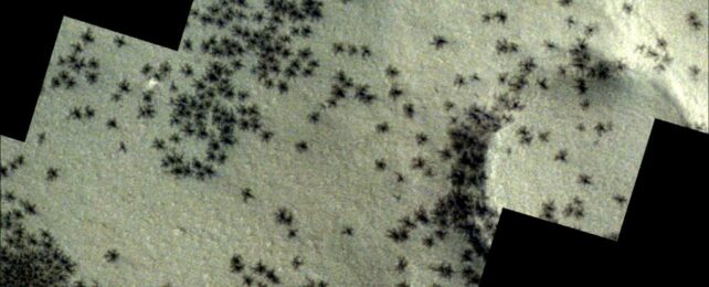 Жуткие «пауки», разбросанные по городу инков на Марсе, видны на невероятных изображениях