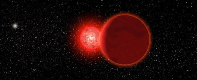 Проходящая звезда заставила Землю согреть 56 миллионов лет назад?