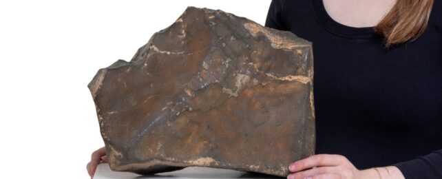 Крупнейший Марс Рок на земле может продать за 4 миллиона долларов США