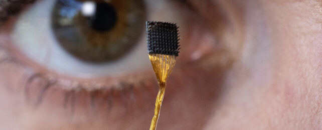 One of the implants used in the research. Этот невероятный мозговой имплантат может декодировать внутренние мысли в речь