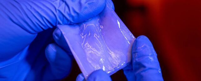 A sample of the new bacteria-grown bioplastic. Этот невероятный новый биопластик может быть суперматериалом завтрашнего дня