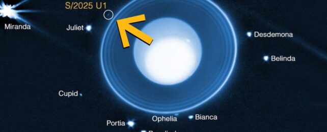 JWST только что нашел новолуние, скрывающуюся вокруг Урана (и это крошечное)