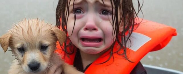 «AI Slop» появляется везде. Эксперт объясняет, что поставлено на карту.