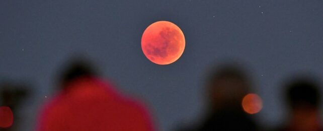 Потрясающее лунное затмение «Кровавая луна», увиденное миллионами на 3 континентах