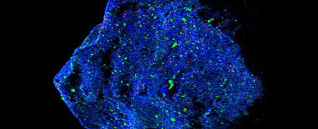 Астероидный фрагмент раскрывает странный минерал, никогда не видел на земле