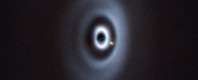 Первый в истории: неуловимая детская планета поймала вырезание космических колец