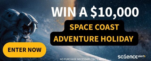 Искра в космос: выиграйте приключенческий отпуск на космическом побережье стоимостью 10 000 долларов!