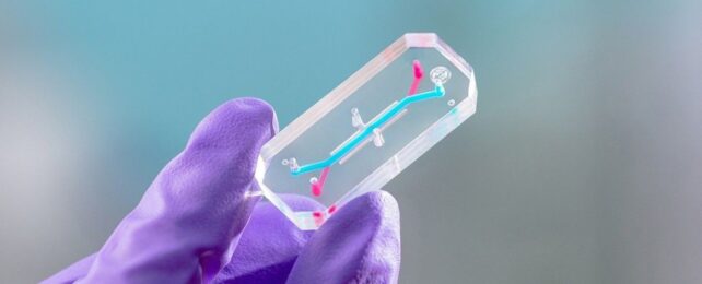 НАСА запихнет астронавтов в чип во имя космического здоровья