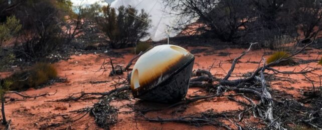 Микрогравитация — последний рубеж для медицины. Вот почему.